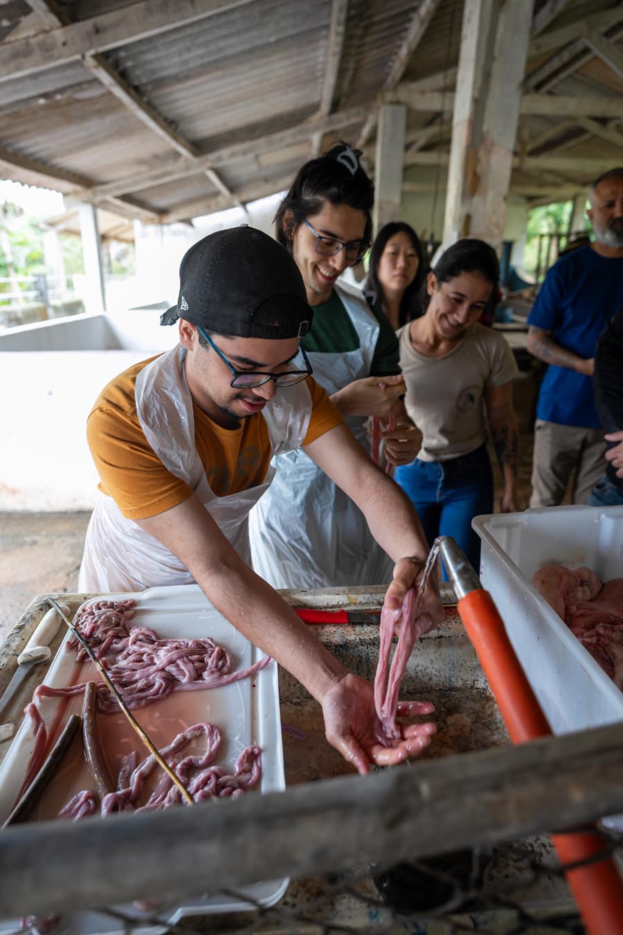 Vivência Do Rabo ao Focinho