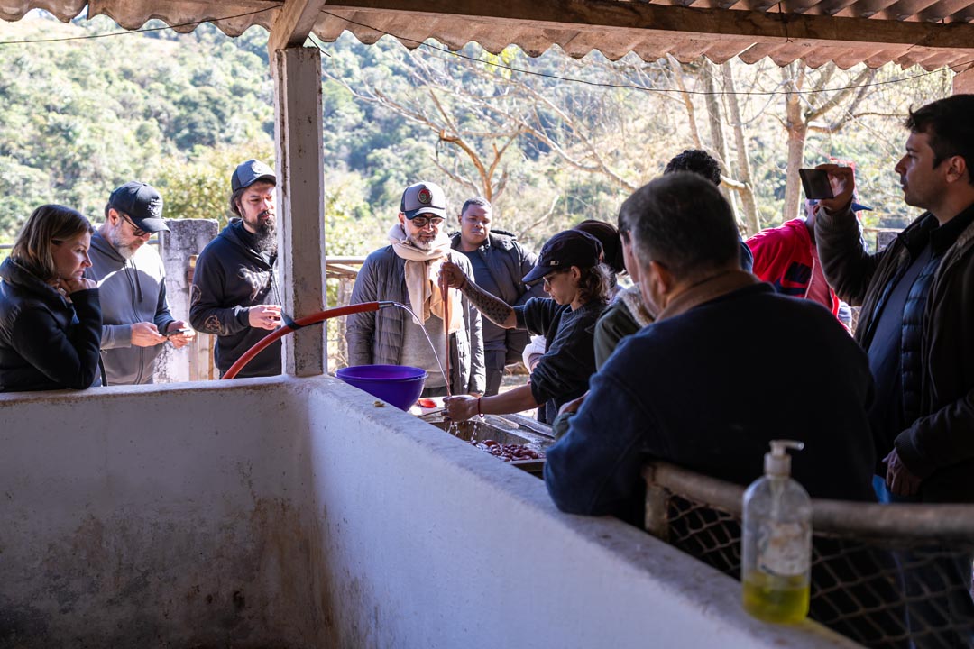 Vivência Do Rabo ao Focinho
