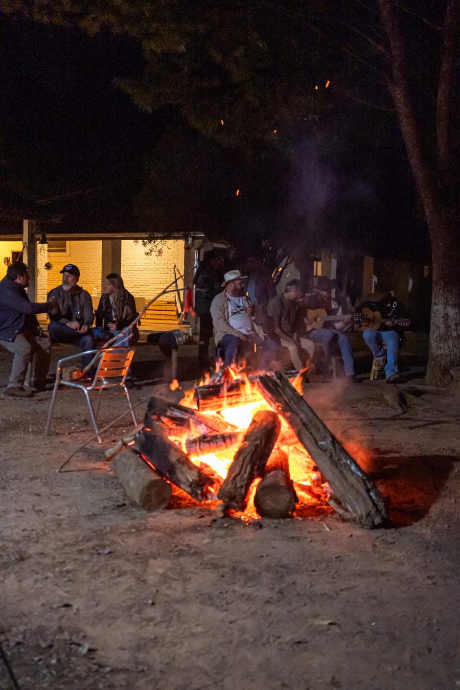 Vivência Do Rabo ao Focinho