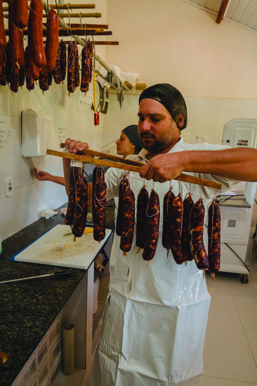 Vivência Do Rabo ao Focinho