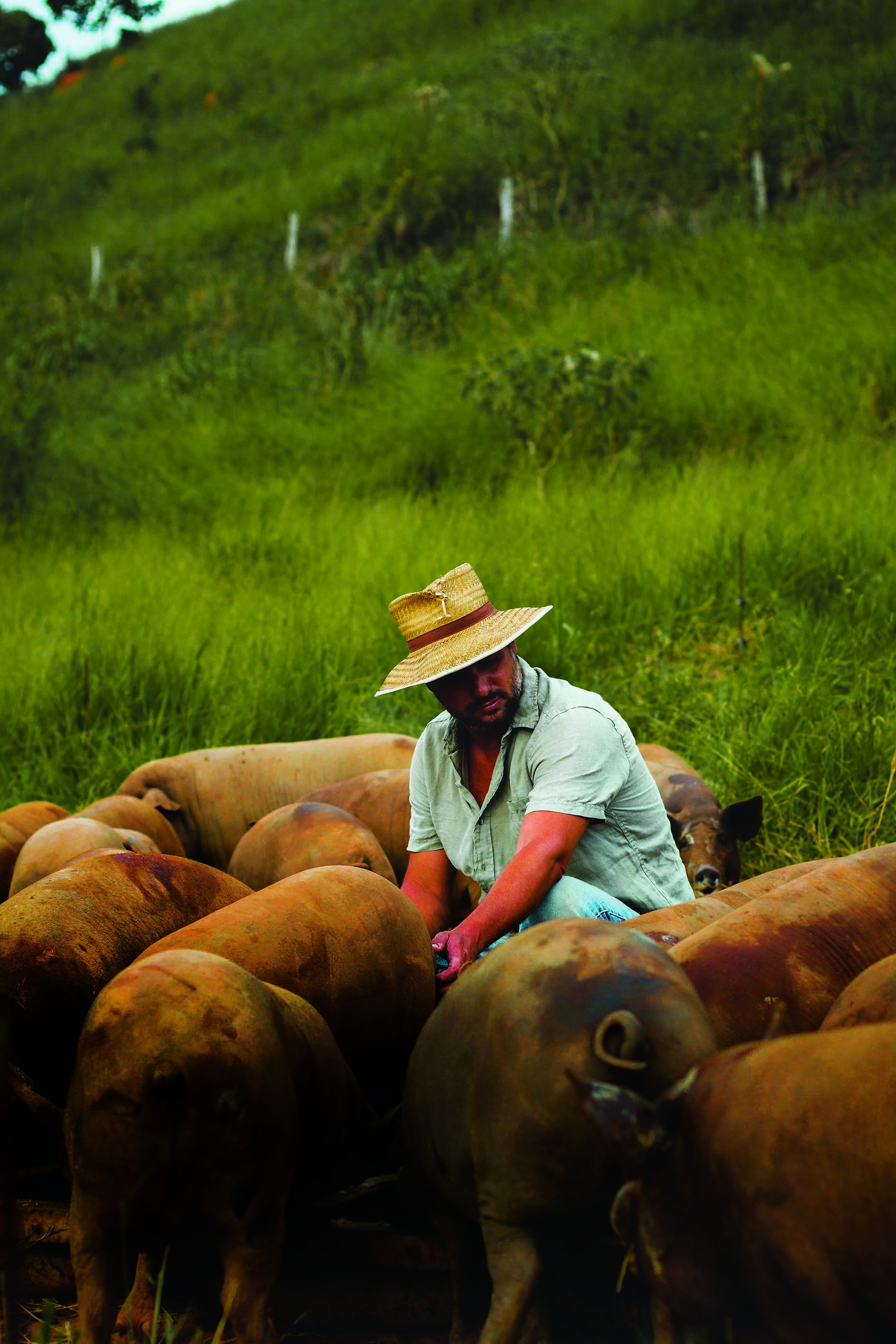 Fazenda Fundão 2